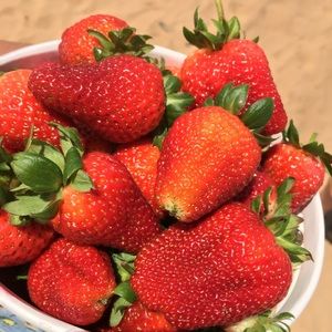 Meet your Posher, Jihan